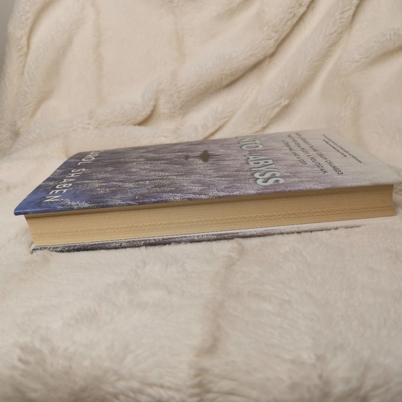 🔥3/$15🔥Into  the Abyss by Carol Shaben Hardcover. - Picture 5 of 5